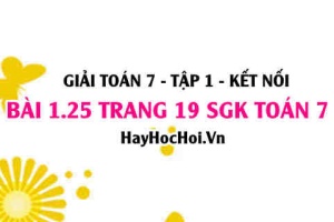 Giải bài 1.25 trang 19 Toán 7 Tập 1 SGK Kết nối tri thức